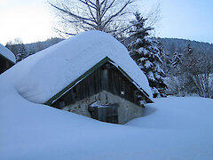 Bayerischer Wald